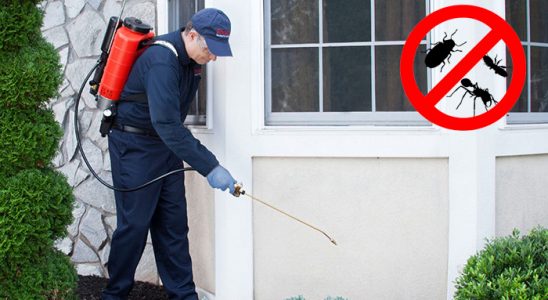 Kepez Kemirgen İlaçlama böcek ilaçlama ve haşere kontrolü — ilaclama-tr.com